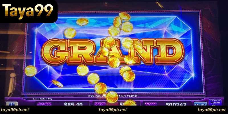 how-to-win-at-taya99-slots-Choosing 