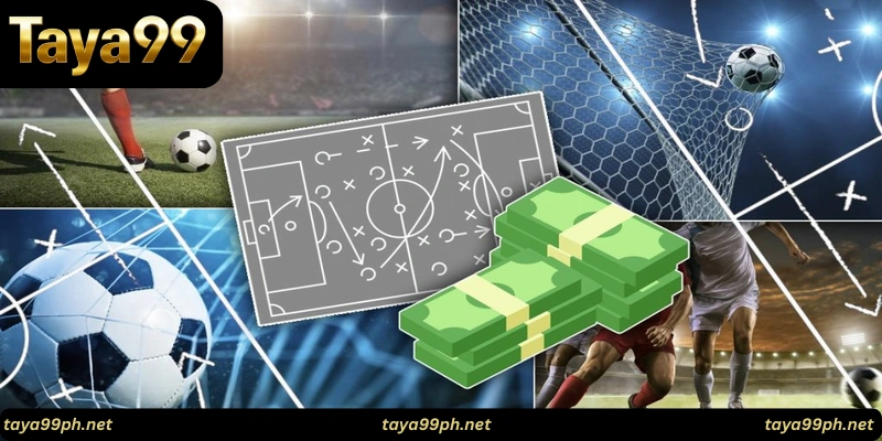 taya99-betting-tips-Essential