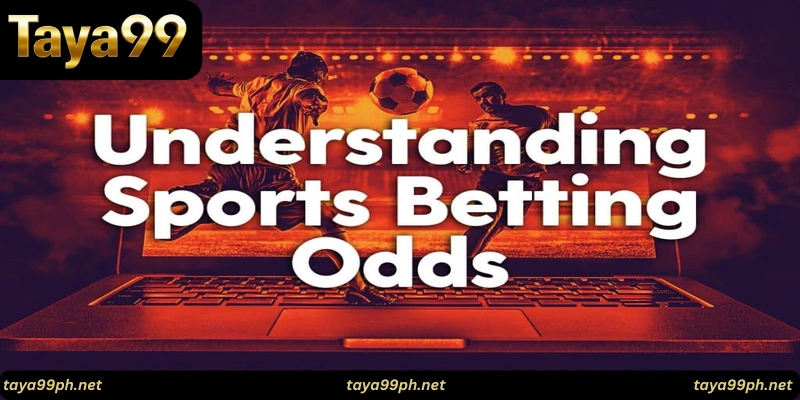 taya99-betting-tips-Comparing