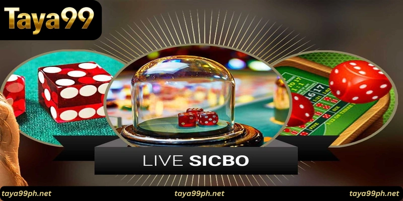 taya99-sicbo-How