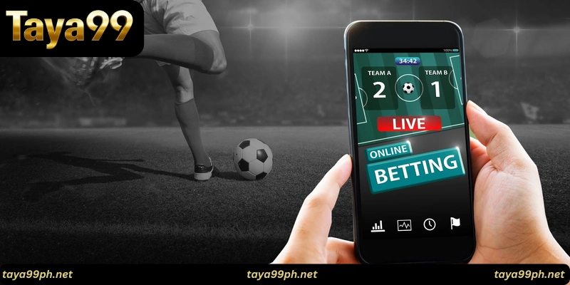 taya99-sports-betting-Essential