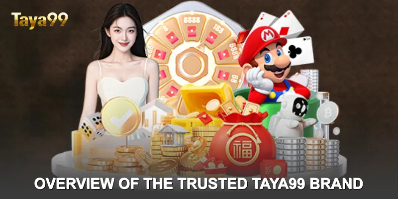 🌐 Overview of the Trusted taya99 Brand