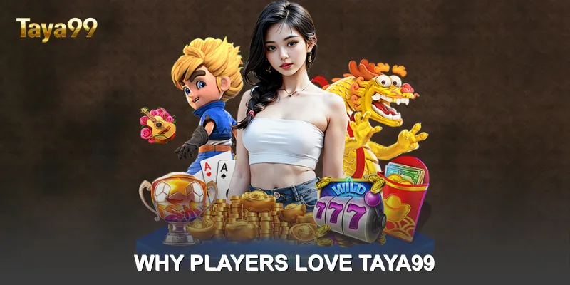 🌟 Why Players Love taya99